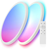 2 Pack Smart RGB LED Ceiling Lights with Alexa Remote 2400LM Flush Mount Fixtures
