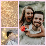 7724.60/20-430 Wired Dimensions 2.5" X 20 Yd Wired Ribbon, Blush/Gold,