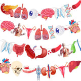 28-Pc Anatomy Hanging Banner Set Human Body Classroom & Science Party Decor
