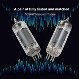 6K4 Preamp Vacuum Tube, for 6AK5/6AK5W/6Zh1P/6J1/6J1P/EF95 Pairing Tube, Amplifier DIY Preamp Vacuum Tube,2PCS