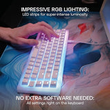 Cherry K5V2 Compact, Mechanical Gaming Keyboard In 65% Format Us Layout Hot Swappable, Cherry Mx2A Red Switches (Transparent White)