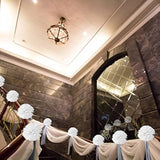 10Pcs White Tissue Hanging Paper Pom-Poms, Flower Ball Wedding Party Outdoor Decoration Premium Tissue Paper Pom Pom Flowers Craft Kit