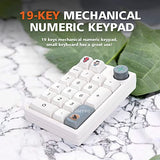 K3 Pro Three Mode 2.4G/Bt5.0/Usb-C Wireless Bluetooth Mechanical Number Keyboard - 19 Key Mini Portable Rgb Backlight Game Keyboard