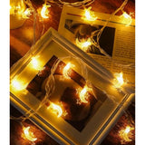 Moon Star String Lights Plug In, 10Ft 20 Led Star And Moon Fairy Lights Warm White For Birthday Party Christmas Holiday