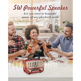 J-180 Vintage Retro Radio Bluetooth Speaker With Stereo Sound, Am Fm Radio Portable With Loud Volume, Bt5.0, Tf Card & Mp3 Player, Rechargeable Speaker
