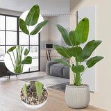Bird Of Paradise Artificial Tree, 6Ft Tall Faux Plant, Fake Banana Leaf Plant Indoor, Faux Palm Tree Faux Floor Plants Tropical Tree In Pot, Present For Friend Housewarming Decor