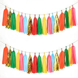 35 Pcs Taco Bout A Party Tassel Garland Tissue Paper Tassels Banner Di