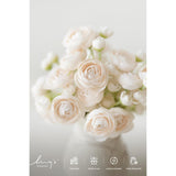 Ranunculus Artificial Flower, Faux Silk Mini Ranunculus Flowers For Diy Bouquet, Bulk Fake Wedding Filler Flowers For Centerpieces Arrangements Bridal Shower Decorations, Cream