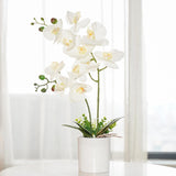 Artificial Orchid Flower Potted, 16.9" White Orchid In Pot Faux Plant With 2 Stems Artificial Phalaenopsis In Plastic Pot For Home Table Centerpiece Wedding Decoration