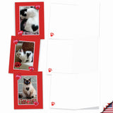 - 10 All Occasion Blank Cat Cards (4 X 5.12 Inch) - Cute Assorted Bulk Card Set - Heartfelt Cats M5658Ocb-B1X10