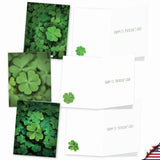 - 20 Assorted Boxed St. Patrick'S Day Note Cards, 2 Each Of 10 Designs, With Envelopes (4 X 5.12 Inch) - Lucky Clovers Am9079Spg-B2X10