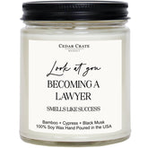Lawyer Graduation Gifts For Women Men, Passing The Bar Exam Gifts, Law Office Decor, College, Law School Graduation Present, Look At You Becoming A Lawyer Funny Candles, Bamboo Scented Candle