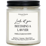 Lawyer Graduation Gifts For Women Men, Passing The Bar Exam Gifts, Law Office Decor, College, Law School Graduation Present, Look At You Becoming A Lawyer Funny Candles, Bamboo Scented Candle