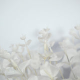 Artificial Flowers Faux Silver Dollar Eucalyptus Stems Fake Plant For Vase Home Wedding Decor 3Pcs (White)