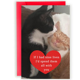 Funny Cat Valentines Day Gifts For Him Her, Birthday Card For Men Women, Sweet Anniversary Cards Cat Lovers