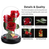 Beauty And The Beast Rose Valentines Day Gifts For Her, Birthday Gifts For Women, Light Up Roses, Glass Dome Rose With Led Lights, Red Roses, Valentines Mother Women'S Gift For Mom Wife Girlfriend