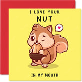 Rude Naughty Valentine'S Day Card For Husband Boyfriend Partner - Your Nut - Funny Anniversary Anniversary Card For Men Him, 5.7 X 5.7 Inch Offensive Banter Birthday Greeting Cards For Fiance