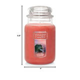 Yankee Candle Cliffside Sunrise Scented, Classic 22oz Large Jar Single Wick Candle, Over 110 Hours of Burn Time