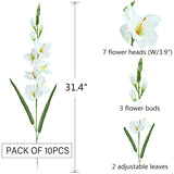 Pack Of 10 - Artificial Gladiolus Silk Orchids Flower Stems Fake Dendrobium Flowers Daffodils For Home Garden Party Wedding Decoration (White)