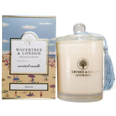 Organic Beach Scent Soy Wax Candle | Non Toxic 100% Cotton Wick Triple Scented Pure Natural Soy Wax Candles, Hand Poured In Australia | 60 Hours Burning Time, 11.66 Oz