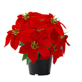 14" Poinsettias Artificial Christmas Flowers 9 Heads Faux Poinsettia Plants For Home Porch Garden Office Indoor Outdoor Christmas Decorations Red