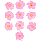 10Pcs Hibiscus Flowers Decor Artificial Flower Head Diy Hawaii Flower Flowers Neck Loop Tropical Party Decoration Photo Props For Wedding Hawaiian Luau Party