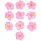 10Pcs Hibiscus Flowers Decor Artificial Flower Head Diy Hawaii Flower Flowers Neck Loop Tropical Party Decoration Photo Props For Wedding Hawaiian Luau Party