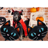 6Pc 25.6" Black Cat Halloween Foil Balloons – Party & Birthday Decorations