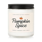 Pumpkin Candle, Hello Fall Gifts- 9Oz Aromatherapy Cinnamon Pumpkin Spice Soy Wax Candle For Home Scented- Autumn Gifts For Women, Men, Fall Decorations For Home