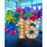 3Pcs 26-Inch Macaron Green Star Burst Foil Balloons Party Decorations