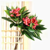 35.5 Inch Artificial Flowers Artificial Frangipani Flower 2 Stems Lifelike Real Touch Artificial Plumeria Flowers For Home Party Wedding Bouquet Home Decoration (Red)