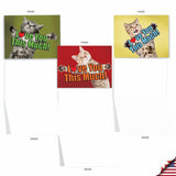 - 10 All Occasion Blank Cat Cards (4 X 5.12 Inch) - Cute Assorted Bulk Card Set - Cat Love You This Much M6610Ocb