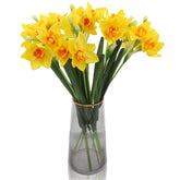 10 Pcs Artificial Daffodils Flowers Narcissus Faux Spring Flowers Fake Silk Daffodil Flower Arrangement For Indoor Outdoor Home Wedding Decor (10, Yellow)