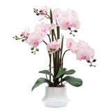 Artificial Orchid Flower Plant 20.9'' Real Touch Faux Orchids In Ceramic Vase Pink Fake Phalaenopsis Flower Arrangement Silk Orchids With Stems For Centerpiece Table Home Indoor Decor