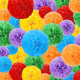 48 Pcs Tissue Paper Pom Poms 14''/ 12''/ 10''/ 8''/ 6'' Tissue Paper Flowers Decorations for Wedding Birthday Bridal Shower Baby Shower Decor (Rainbow)