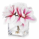 Enova Floral Artificial Real Touch Magnolia Faux Flowers Arrangement in Cube Glass Vase with Faux Water for Home Office Wedding (Pink)