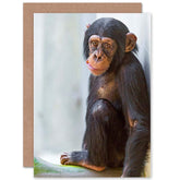 Card Greeting Gift Photo Cute Chimpanzee Chimp Baby Chewing Carrot