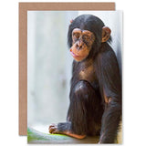 Card Greeting Gift Photo Cute Chimpanzee Chimp Baby Chewing Carrot