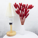60Pcs Dried Bunny Tails Flowers Red Pampas Grass Natural Dried Floral Arrangement Dry Flowers For Christmas Halloween Boho Decor Home Wedding Diy Craft Decoration (16")…