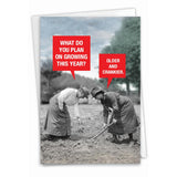 - 1 Hilarious Happy Birthday Card - Funny Aging Old Folks Humor, Celebrate Birthdays - Older And Crankier C9362Bdg