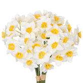12 Stems Daffodils Artificial Flowers 2 Bunches Real Touch Fake Narcissus Flower 9In Silk Spring Fake Flowers Wedding Floral Decor Bouquet For Home Party Wedding Office Anniversary Decor,White