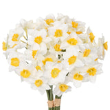12 Stems Daffodils Artificial Flowers 2 Bunches Real Touch Fake Narcissus Flower 9In Silk Spring Fake Flowers Wedding Floral Decor Bouquet For Home Party Wedding Office Anniversary Decor,White