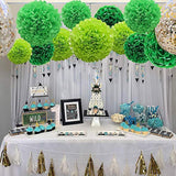 Lucky Green Tissue Paper Pom Poms, St. Patrick'S Day Party Decoration Kit 21Pcs Of 8,10,12 Inch Paper Pom Poms For Birthday Graduation Baby Shower, Spring School Diy Parties