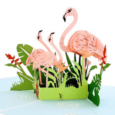 Flamingo Pop Up Greeting Card – 3D Tropical Flamingos, Elegant Nature Romantic Gift, Birthday, Anniversary, Friendship, Mother’S Day, Women, Travel Lovers, 6” X 8”