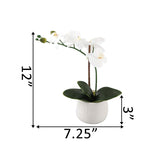 Artificial Flower 12 In H Real-Touch Orchids In 3.5" Mayan Ceramic Pot,Matte White