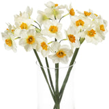 Artificial Daffodil Flowers 15.8 Inches Narcissus Spring Flower Fake Silk Flower Arrangement For Home Wedding Decor (White, 12)