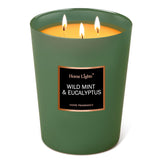 Homelights Scented Candles - Large Jar Aromatherapy, Natural Soy Wax, 130 Hour Long Burning, Wild Mint & Eucalyptus