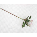 1 Pcs 75 Cm The King Protea (Protea Cynaroides) Artificial Flowers Plants For Home Garden Wedding Party Decoration (Beige, 1)