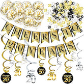 20Th Birthday And Anniversary Decorations Party Pack - Cheers To 20 Years Banner, Balloons, Swirls And Confetti Party Supplies