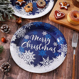 Christmas Paper Plates White Blue Snowflake Round Disposable Plates 9 Inch Merry Christmas Decorative Tableware For Christmas Winter Holiday Dinner Birthday Party Supplies, 24Pcs
